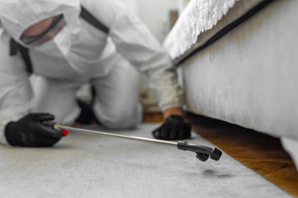 Professional Termite Control technician working in Seven Fields, PA