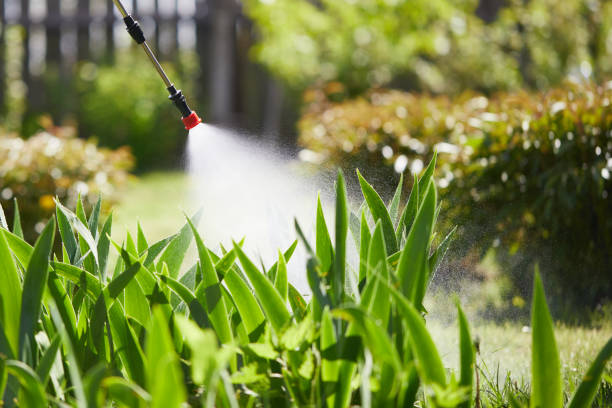 24/7 Emergency Termite Control experts in Seven Fields, PA