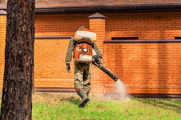 Top rated local Termite Control specialists in Seven Fields, PA